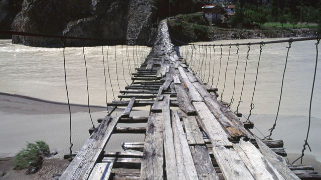 Jungle Canyon Rope Bridges – Stewart Lee / The Onion : Stewart Lee